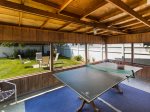 Ping Pong in the Screened Porch
